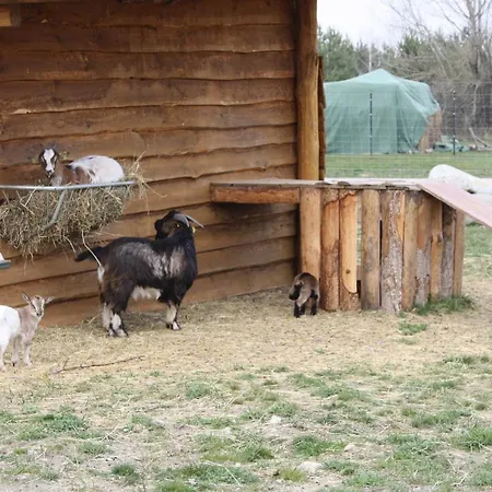 Ferienhaus Fur Bis Zu 4 Personen Zur Waldseite - #125246 Grobern