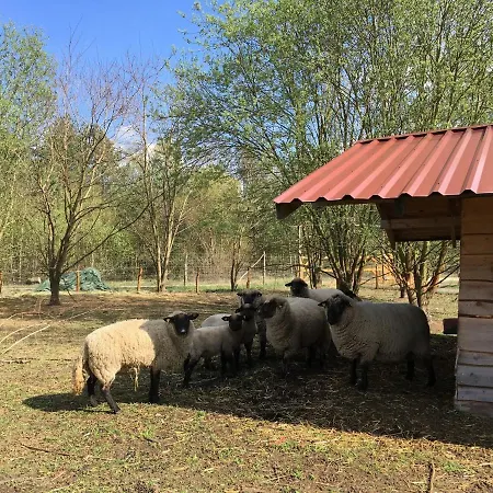 Ferienhaus Fur Bis Zu 4 Personen Zur Waldseite - #125246 Holiday home